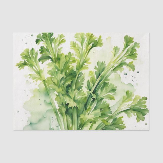 Fresh Celery Seidenpapier (Vorderseite)
