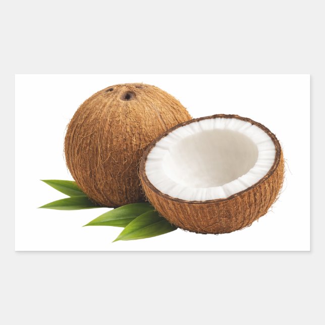 Fresh Coconut With Half Cut Slice Sticker (Vorderseite)