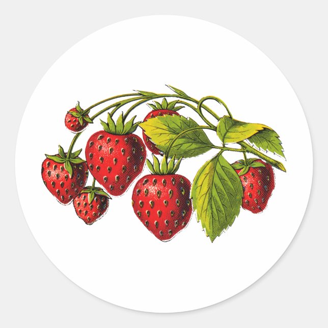 Fresh Erdbeeren Runder Aufkleber (Vorderseite)