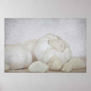 Fresh Garlic Poster