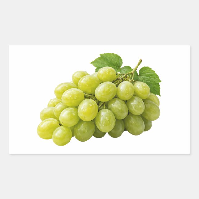 Fresh Green Grapes with Leaves Sticker (Vorderseite)