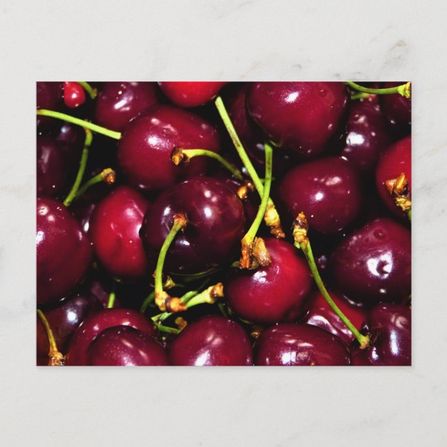 Fresh Juicy Cherries with Water Drops Postkarte (Vorderseite)