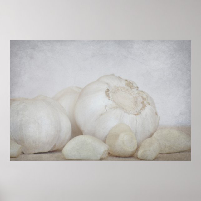 Fresh Knolic Poster (Vorne)