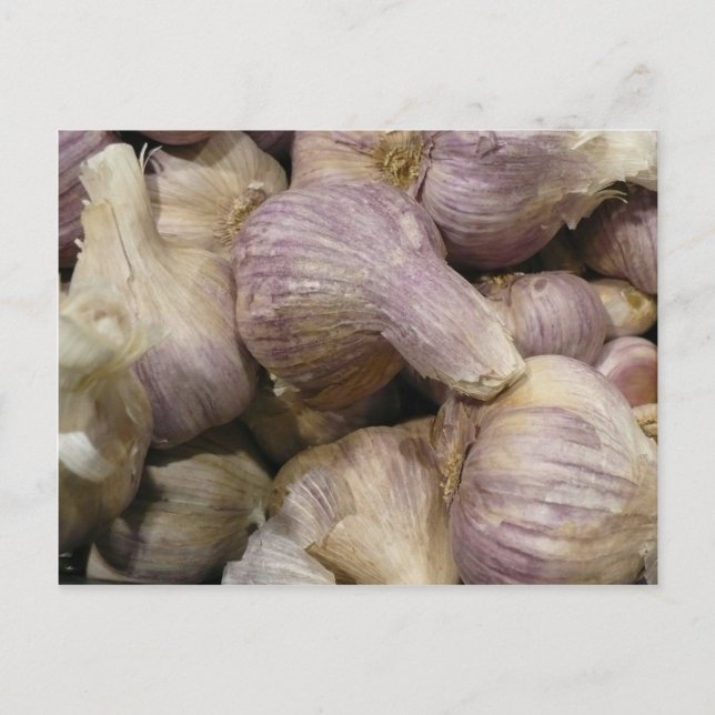 Fresh Knolic Postkarte (Vorderseite)