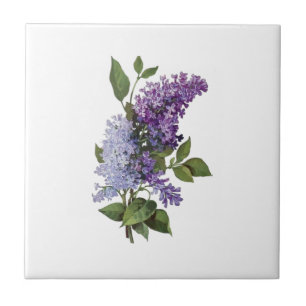 Fresh Lilacs - Französische Wohngestaltung Fliese