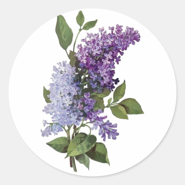 Fresh Lilacs Runder Aufkleber (Vorderseite)