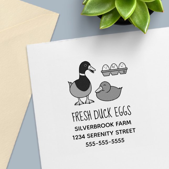 Fresh Mallard Duck Eggs Farm Address Permastempel (Von Creator hochgeladen)