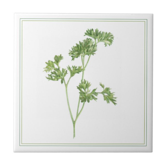 FRESH PARSLEY 4.25x4.25 Keramik-Datei (-text) Fliese (Vorderseite)