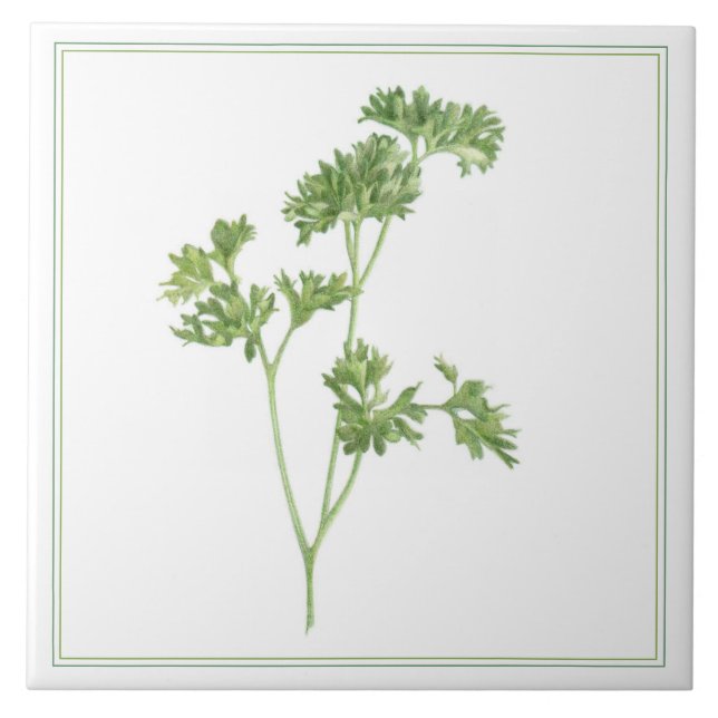 FRESH PARSLEY 6x6 Keramik Tile (-text) Fliese (Vorderseite)
