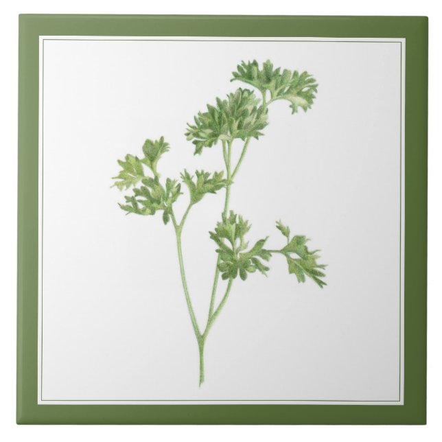 FRESH PARSLEY 6x6 Keramik Tile (-text) Grün Fliese (Vorderseite)