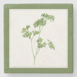 FRESH PARSLEY Marble Stone Untersetzer (-text) Grü