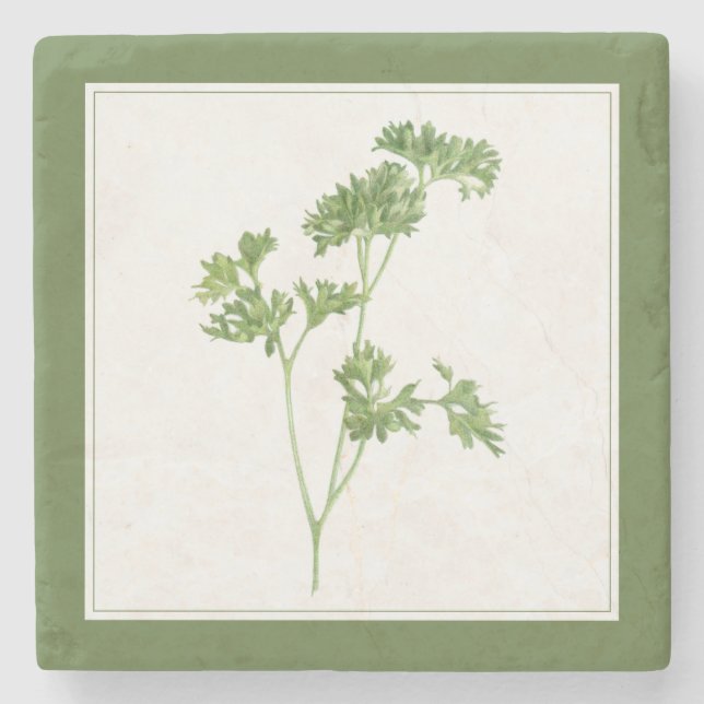 FRESH PARSLEY Marble Stone Untersetzer (-text) Grü (Vorderseite)