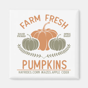 Fresh Pumpkins   Hand Pickup Magnet