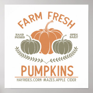 Fresh Pumpkins   Hand Pickup Poster