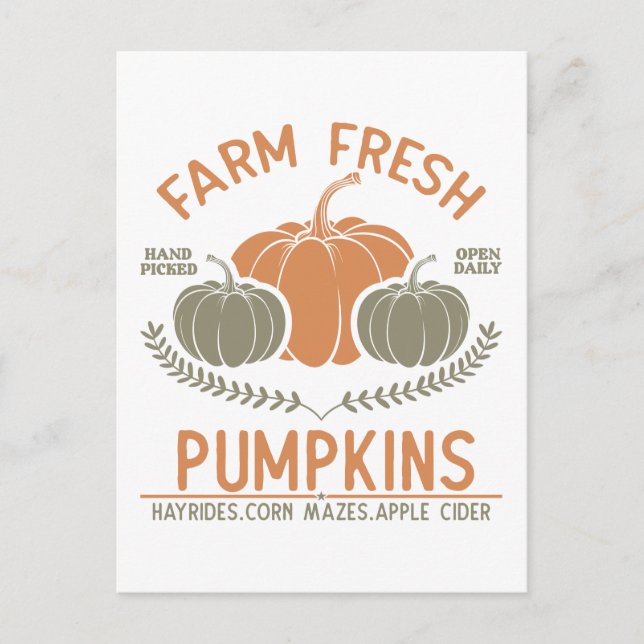 Fresh Pumpkins | Hand Pickup Postkarte (Vorderseite)
