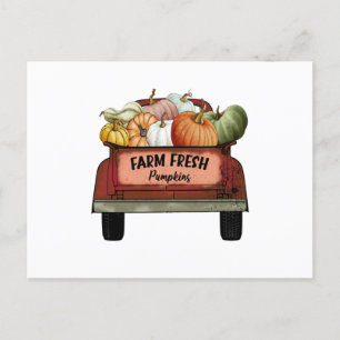Fresh Pumpkins Postkarte