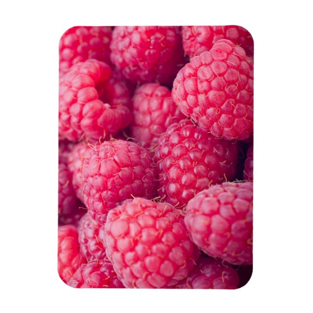 Fresh raspberries magnet (Vertikal)