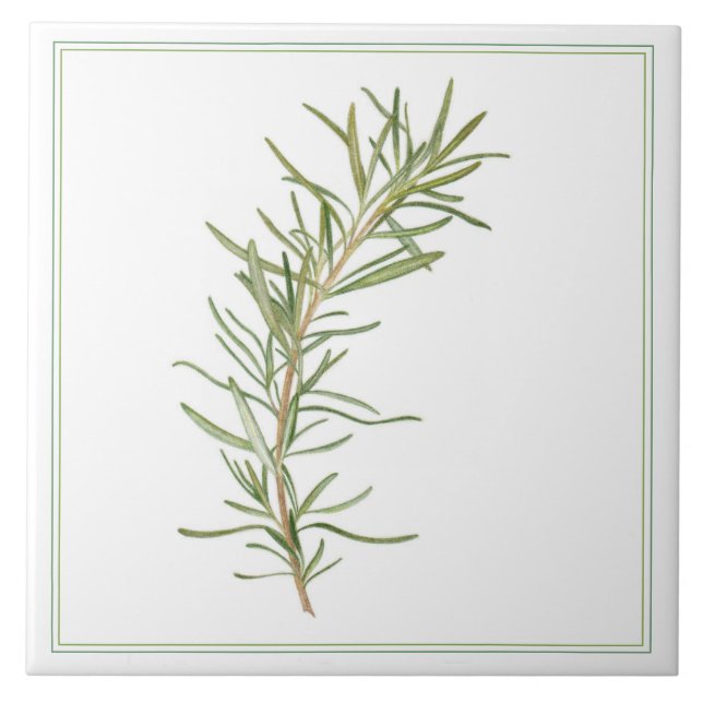 FRESH ROSEMARY 6x6 Keramik Tile (-text) Fliese (Vorderseite)
