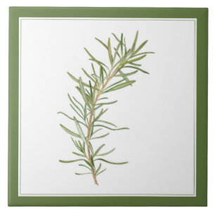 FRESH ROSEMARY 6x6 Keramik Tile (-text) Grün Fliese