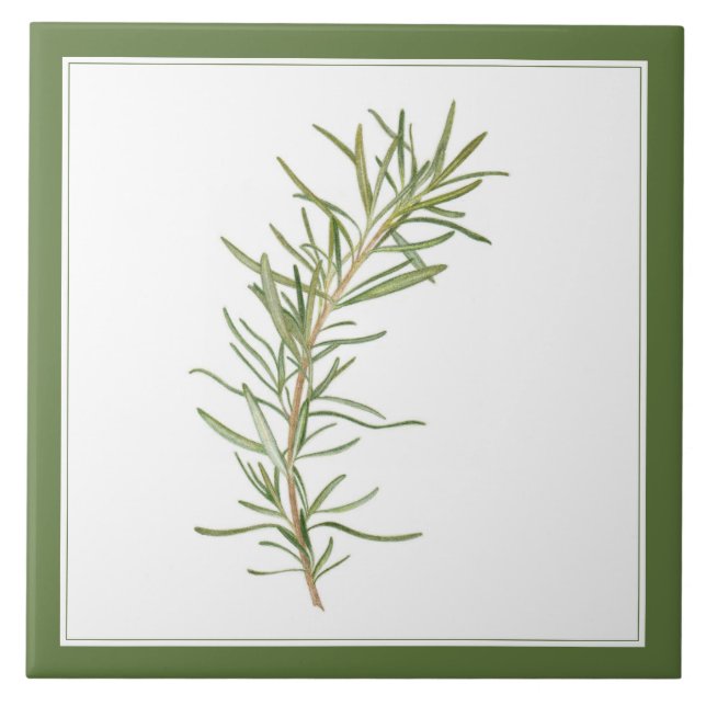 FRESH ROSEMARY 6x6 Keramik Tile (-text) Grün Fliese (Vorderseite)