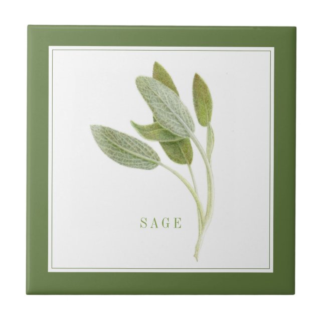 FRESH SAGE 4.25x4.25 Keramik Tile (+text) Grün Fliese (Vorderseite)