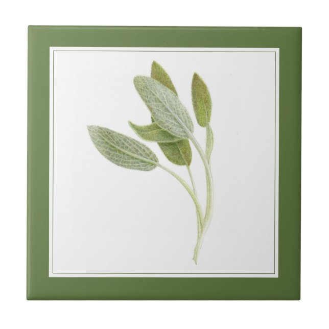 FRESH SAGE 4.25x4.25 Keramik Tile (-text) Grün Fliese (Vorderseite)