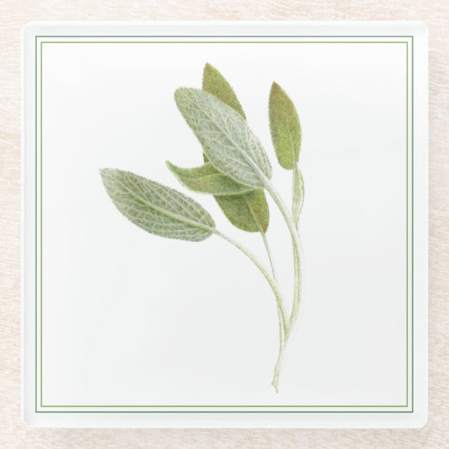 FRESH SAGE Glas Beverage Coaster (-text) Glasuntersetzer (Vorderseite)