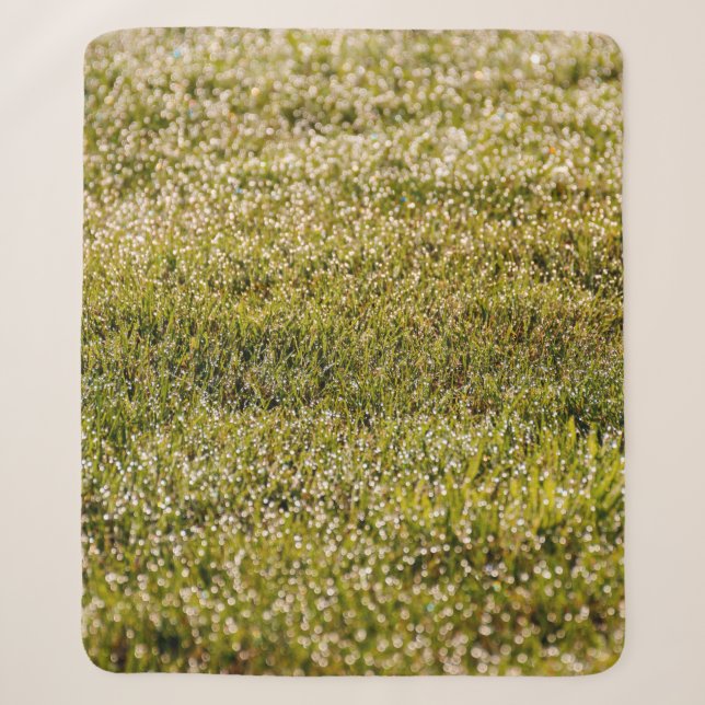 Fresh spring green grass background, with bokeh ef sherpadecke (Vorderseite)