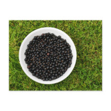 Freshly Picked Blackcurrants