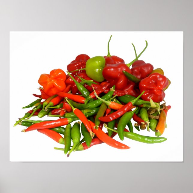 Freshly Picked Chillies Poster (Vorne)