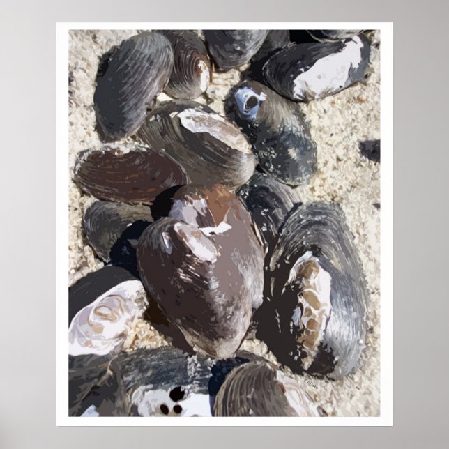 Freshwater Clamshells Beachy Sand Poster (Vorne)