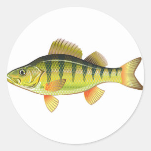 Freshwater Yellow Perle Vector Grafikdesign Runder Aufkleber