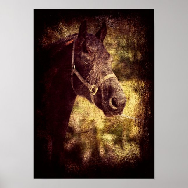 Fresian Grunge Poster (Vorne)