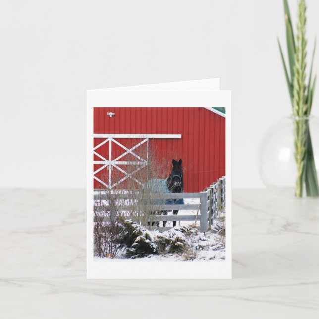 Fresianer im Schnee Feiertagskarte (Vorderseite)