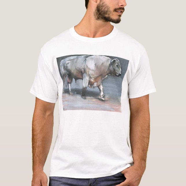 Fresno Galloway Stier T-Shirt (Vorderseite)