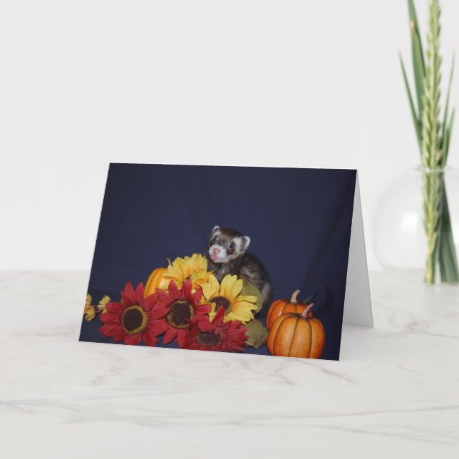 Frettchen-Geburtstags-Karte Karte (Vorderseite)