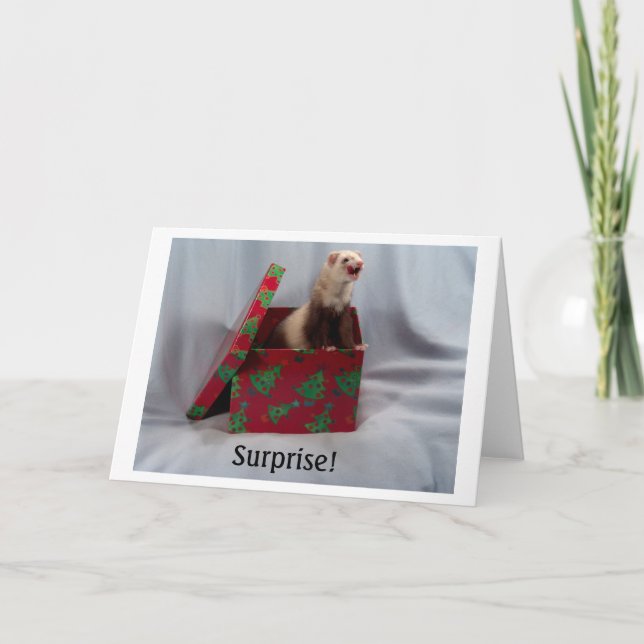 Frettchen in einem Kasten Notecards Karte (Vorderseite)