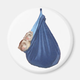 Frettchen in einem Schlafsäckchen Magnet