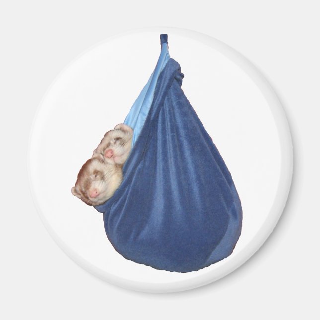 Frettchen in einem Schlafsäckchen Magnet (Vorne)