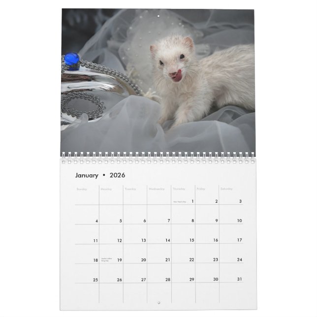 Frettchen-Kalender - 3 - Kalender (Jan 2026)