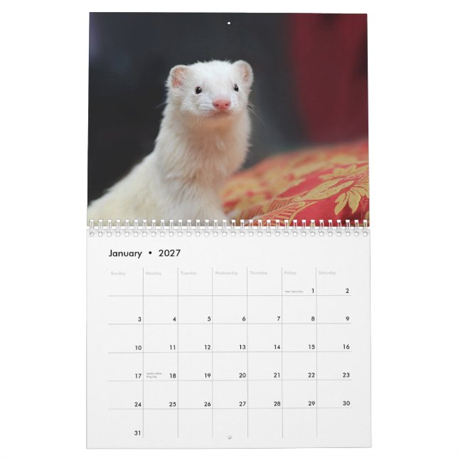 Frettchen-Kalender - 4 - Kalender (Jan 2027)