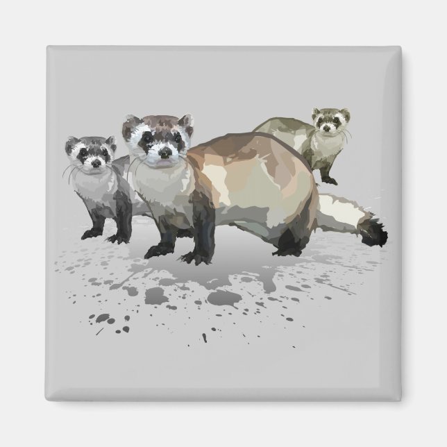 Frettchen Magnet (Vorne)