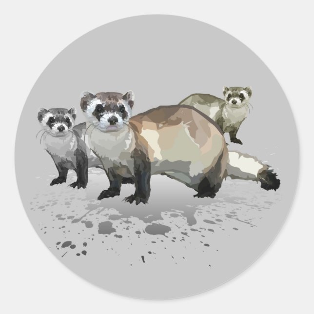 Frettchen Runder Aufkleber (Vorderseite)