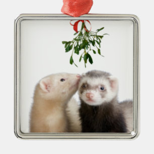 Frettchen Smooches Verzierung Silbernes Ornament