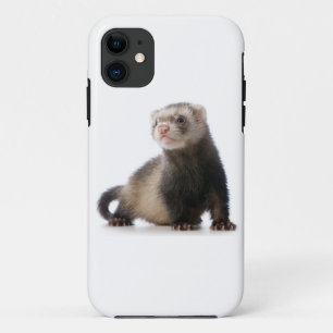 Frettchen-Telefonabdeckung iPhone 11 Hülle