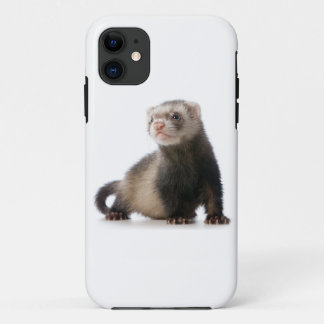 Frettchen-Telefonabdeckung iPhone 11 Hülle