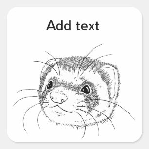 Frettchengesicht Quadratischer Aufkleber