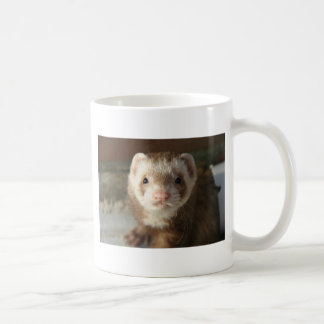 Frettchennahaufnahme-Tasse Kaffeetasse