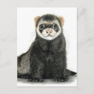 Frettest Spaß! Postkarte