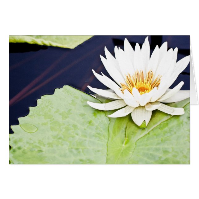 Freude (Vorderseite (Horizontal))